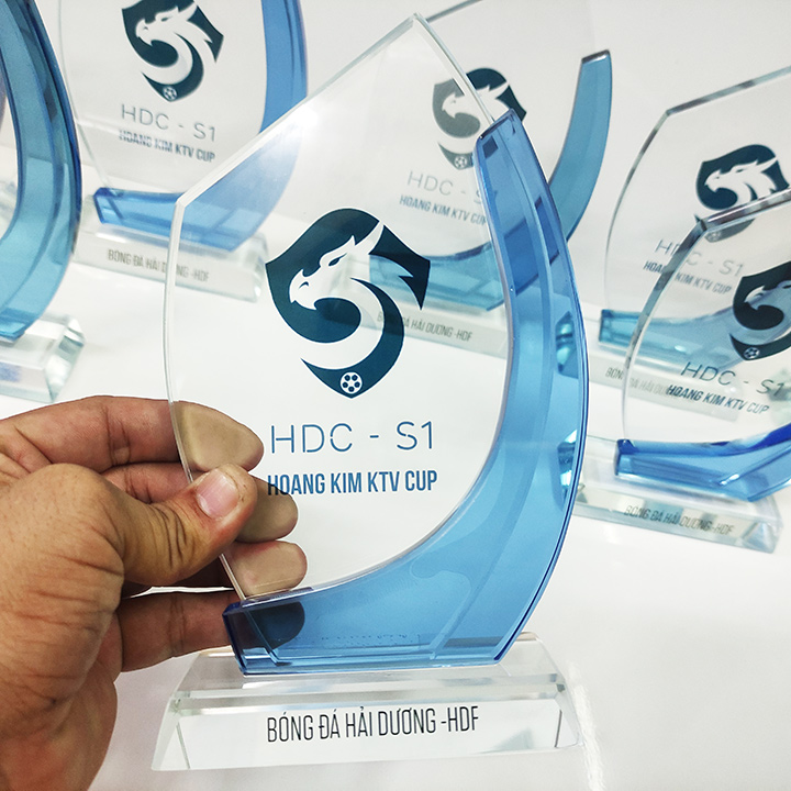 Kỷ niệm chương pha lê cánh sen