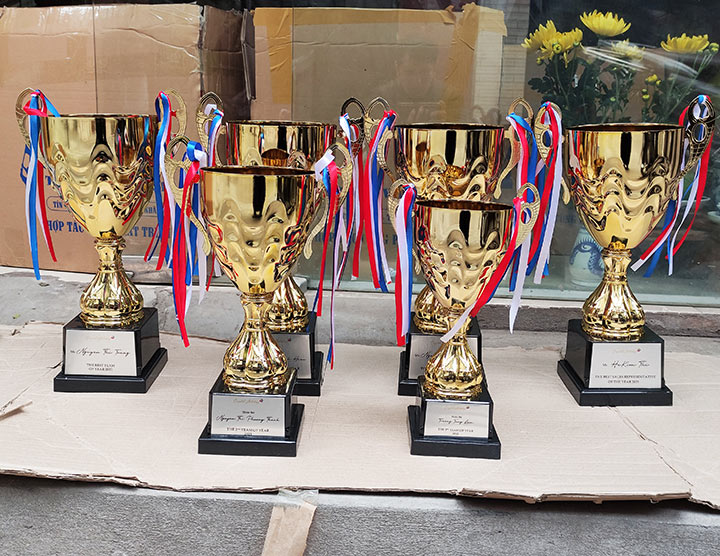 Cúp kim loại giá rẻ 2083