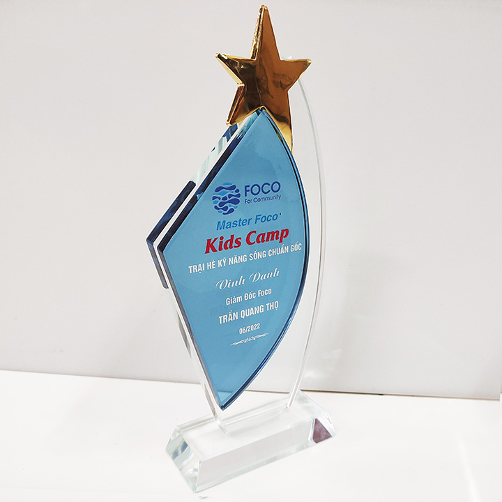 Biểu trưng cánh buồm xanh gắn sao