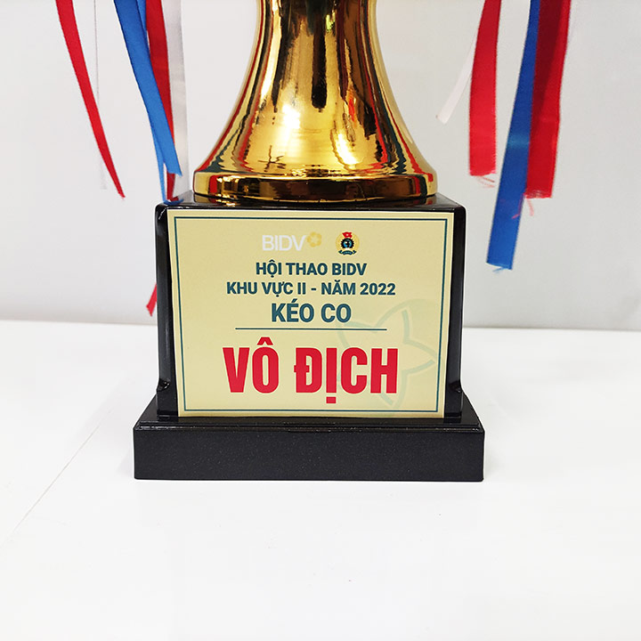 Cúp Kim Loại Giá Rẻ 7708