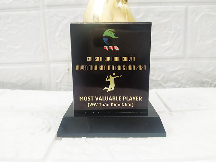 Cúp lưu niệm CPS-36