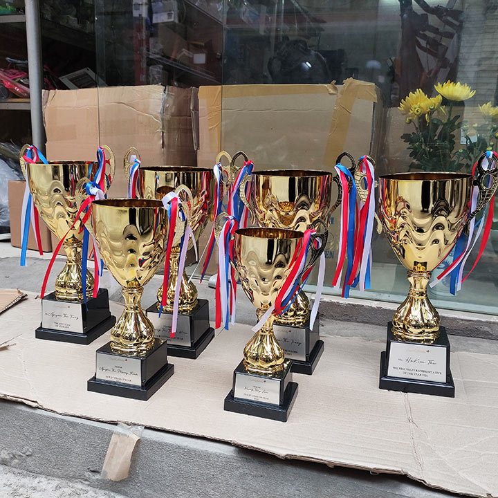 Cúp kim loại giá rẻ 2083