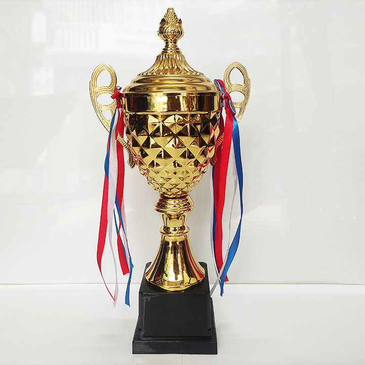 Cúp Kim Loại Giá Rẻ 7708