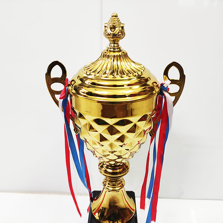 Cúp Kim Loại Giá Rẻ 7708