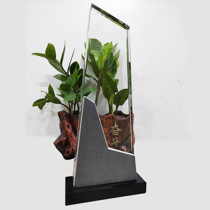 Kỷ niệm chương pha lê PL30