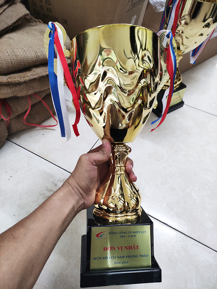 Cúp kim loại giá rẻ 2083