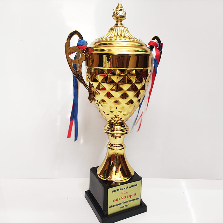 Cúp Kim Loại Giá Rẻ 7708