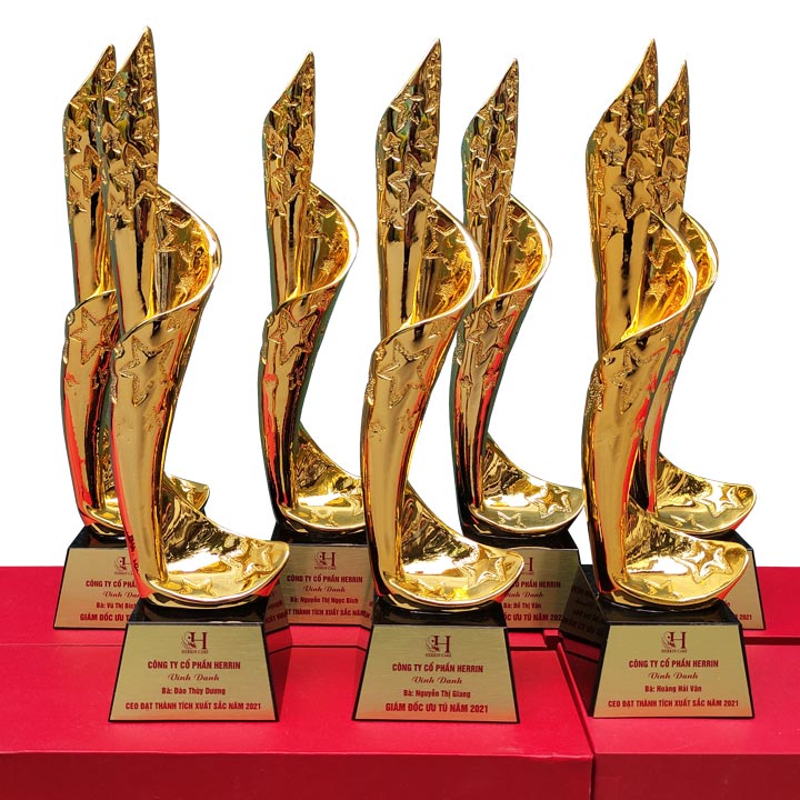 Cúp lưu niệm TC-CPS5