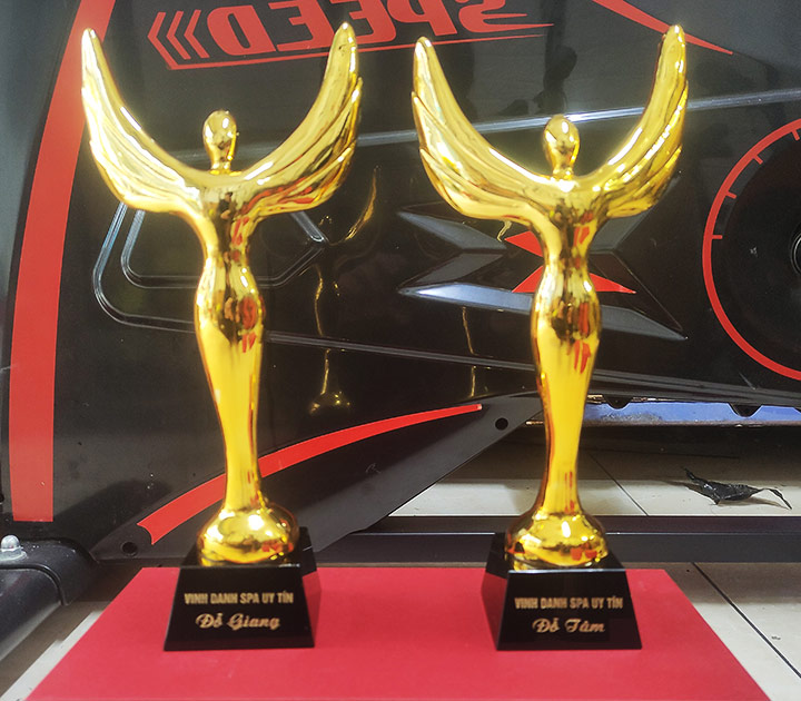 Cúp Spa làm đẹp TC-CPS1