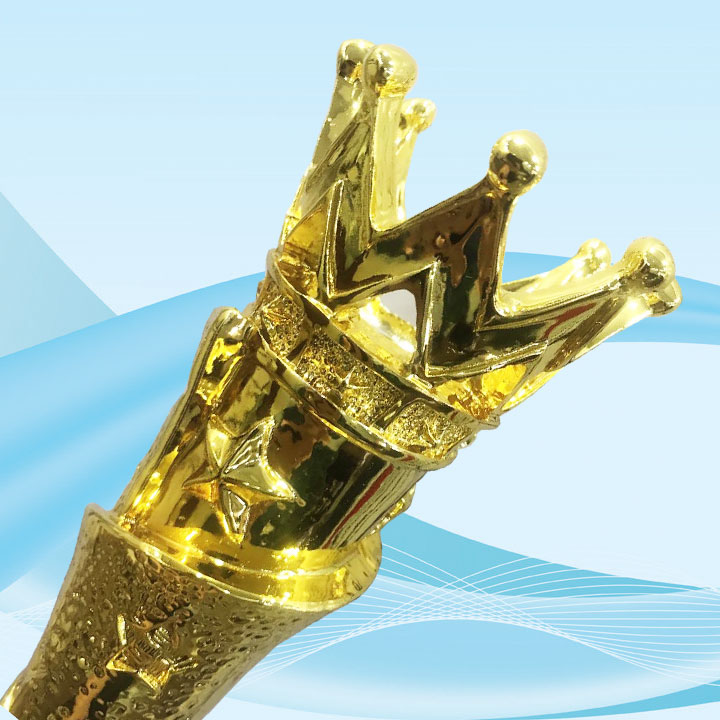 Cúp lưu niệm TC-CPS8