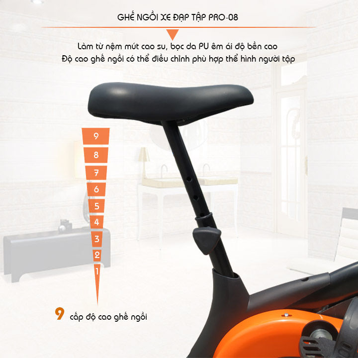 Xe đạp tập Pro Fitness Pro-08