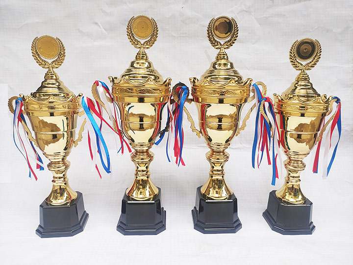 Cúp Kim Loại Cao Cấp 194