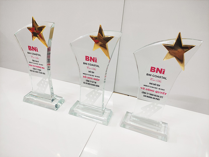 Kỷ niệm chương pha lê TC-PL41