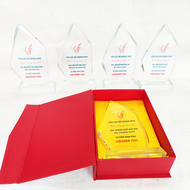 Kỷ niệm chương pha lê vát lệch