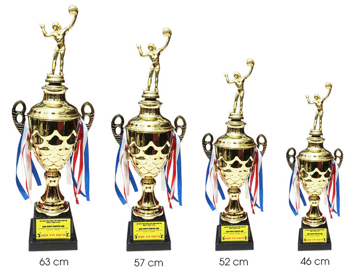 Cúp bóng chuyền 935BC