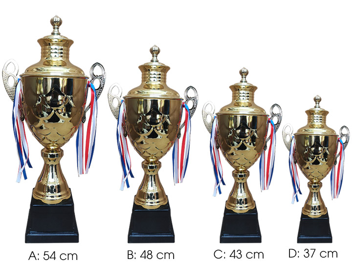 Cúp thể thao kim loại 935