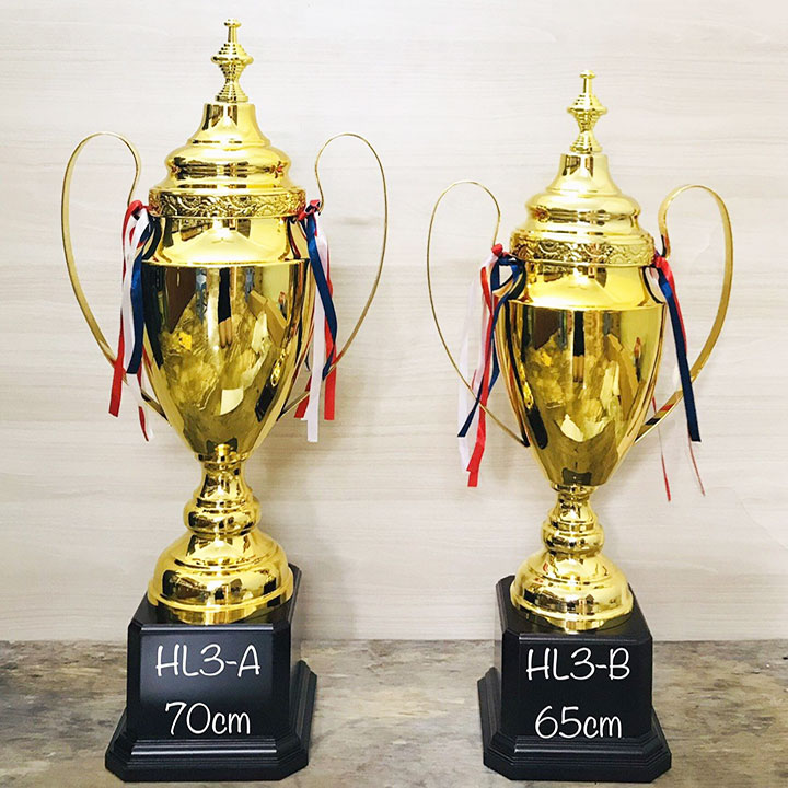 Cúp kim loại cao cấp HL3