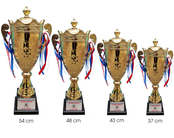 Cúp kim loại TC037