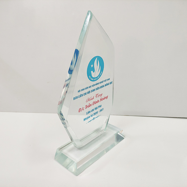 Kỷ niệm chương pha lê vát lệch