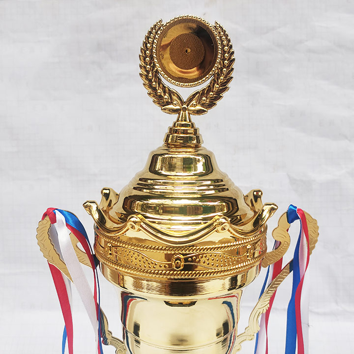 Cúp Kim Loại Cao Cấp 194