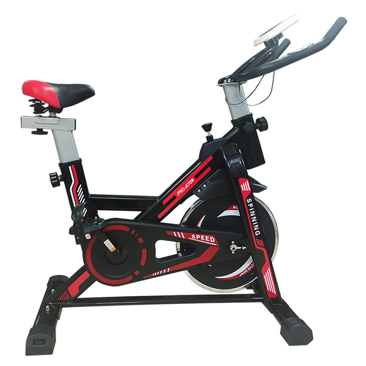 Xe đạp tập thể dục Pro-X709