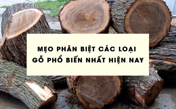 Mẹo phân biệt các loại gỗ phổ biến nhất hiện nay