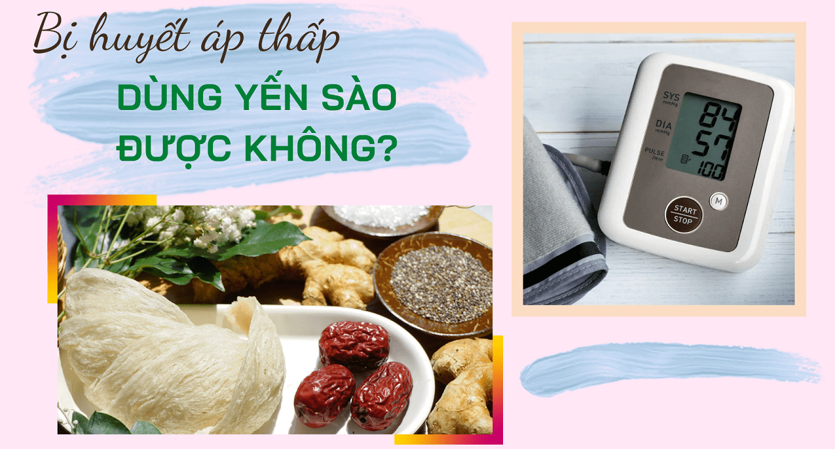 Huyết áp thấp ăn yến sào có tốt không?