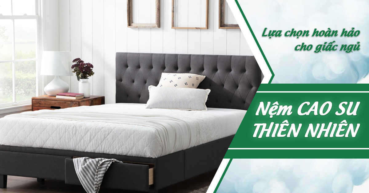 Nệm cao su thiên nhiên – Lựa chọn hoàn hảo cho giấc ngủ