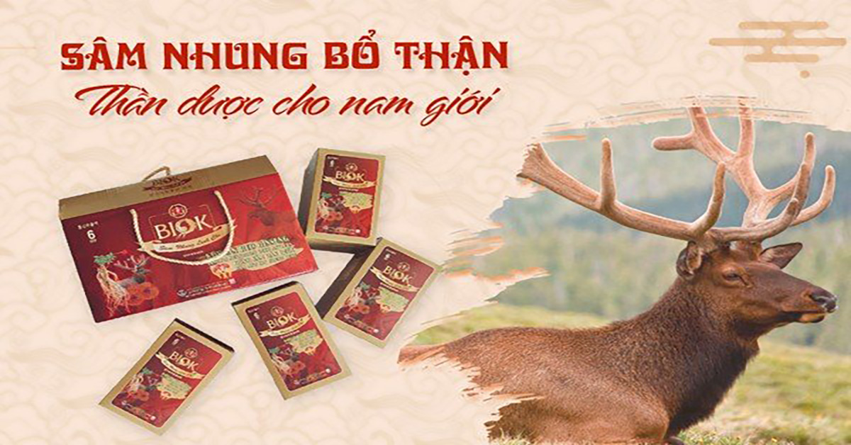 Sâm nhung Bổ thận - Thần dược cho nam giới