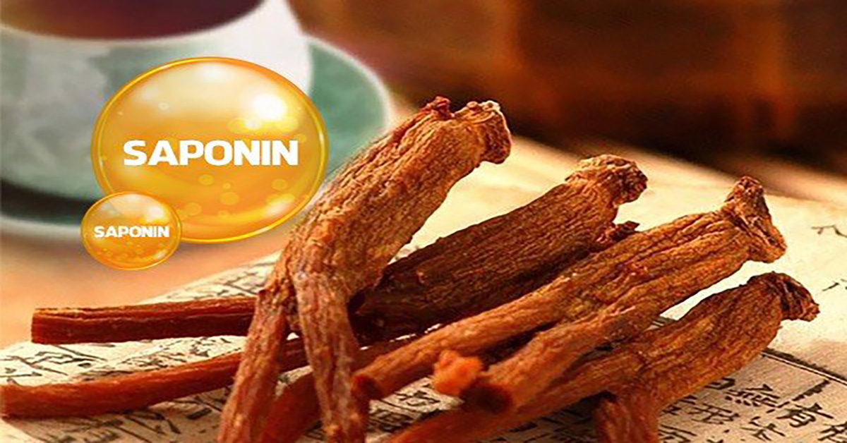 Saponin - Dưỡng chất đặc trưng của thần dược Hồng sâm