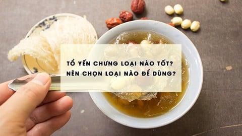 Tổ yến chưng loại nào tốt? Nên chọn loại nào để dùng?