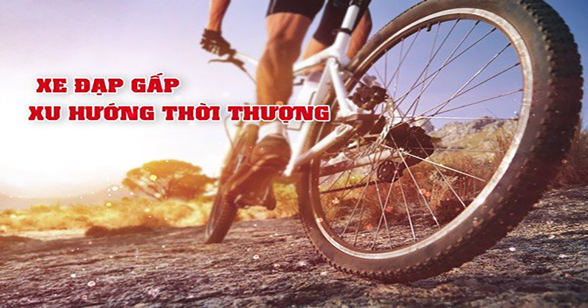 Xe đạp gấp - Xu hướng thời thượng cho người yêu thể thao