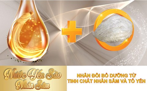 Yến sâm kết hợp, công dụng thần kỳ đến đâu?