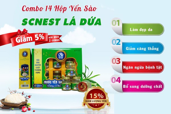 hộp yến sào scnest vị lá dứa