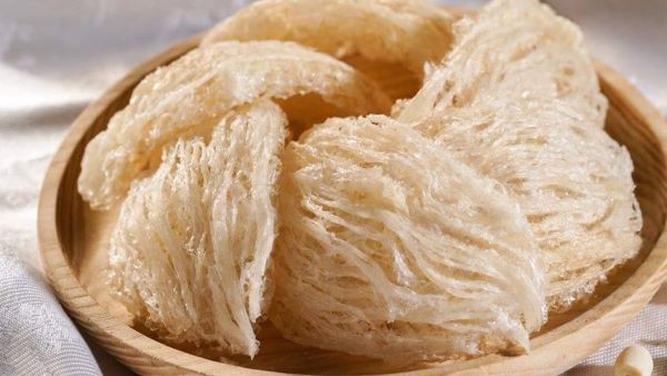 tổ yến tươi