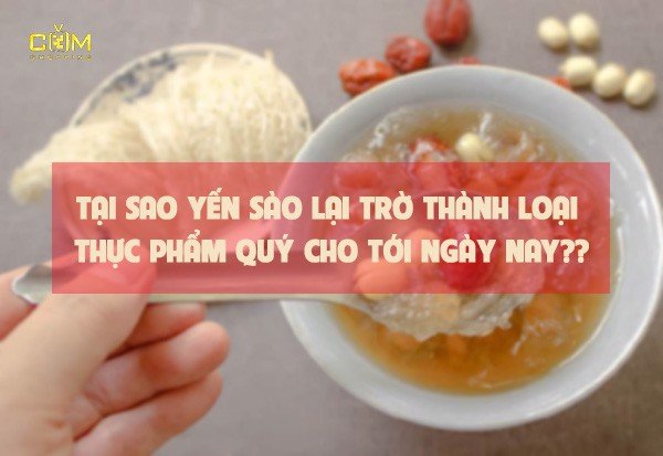 vì sao yến sào trở thành thực phẩm quý hiếm