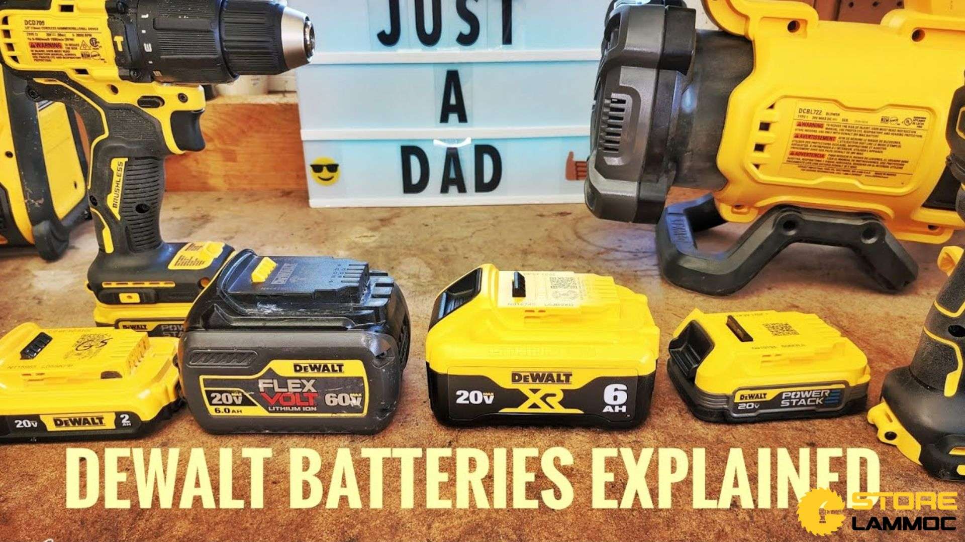 Các loại pin khác nhau của Dewalt