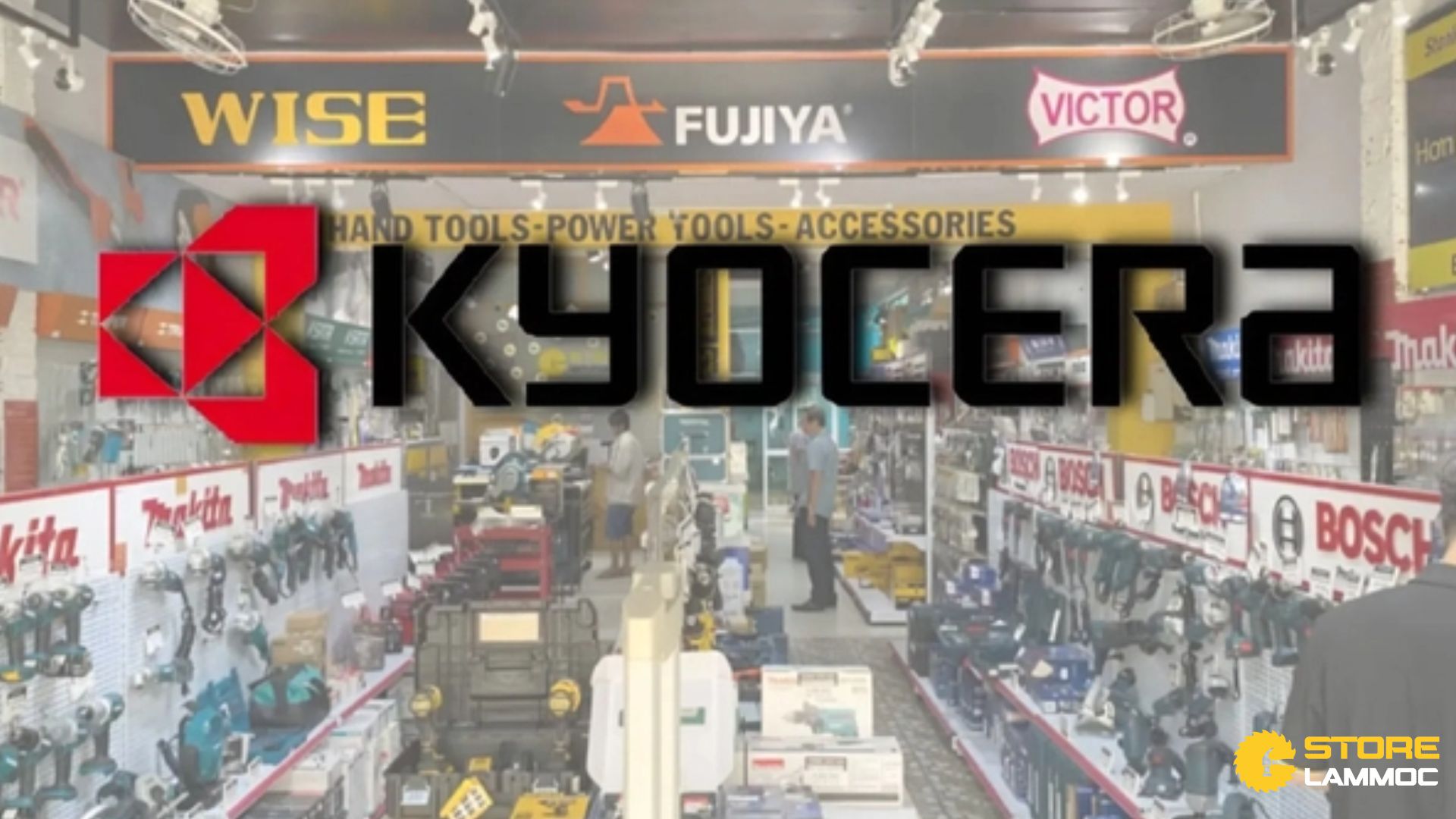 Tiềm Năng Phát Triển Lớn Trong Tương Lai