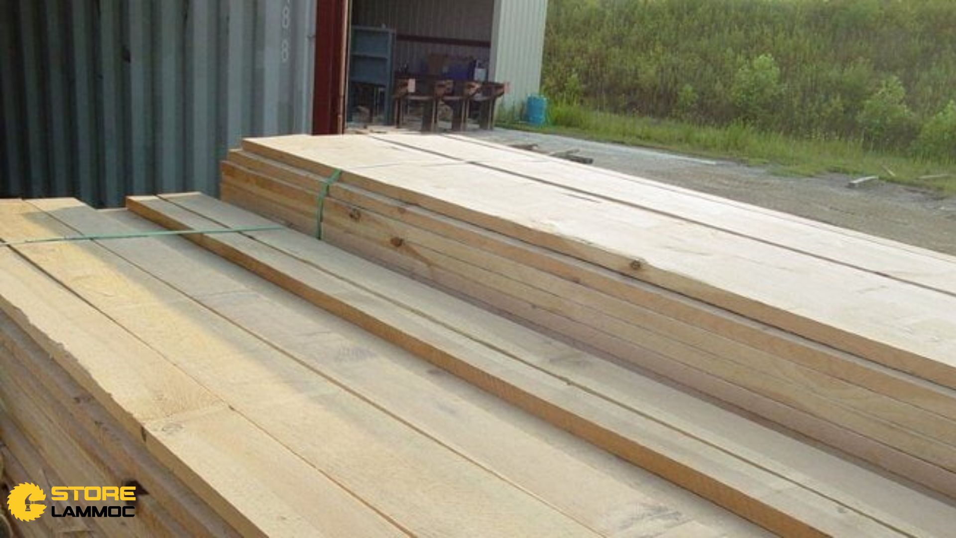 Tránh mua gỗ thông qua đế