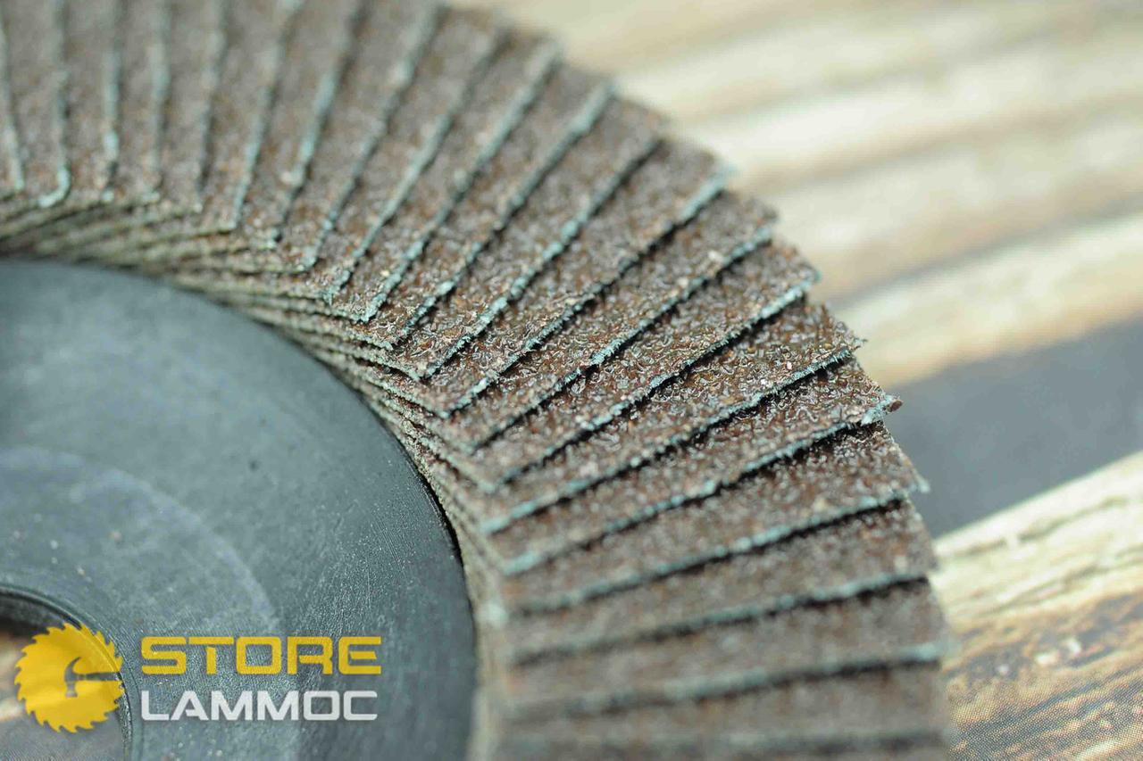 Đĩa chà nhám xếp 4" P60 SCORPION 11239S160