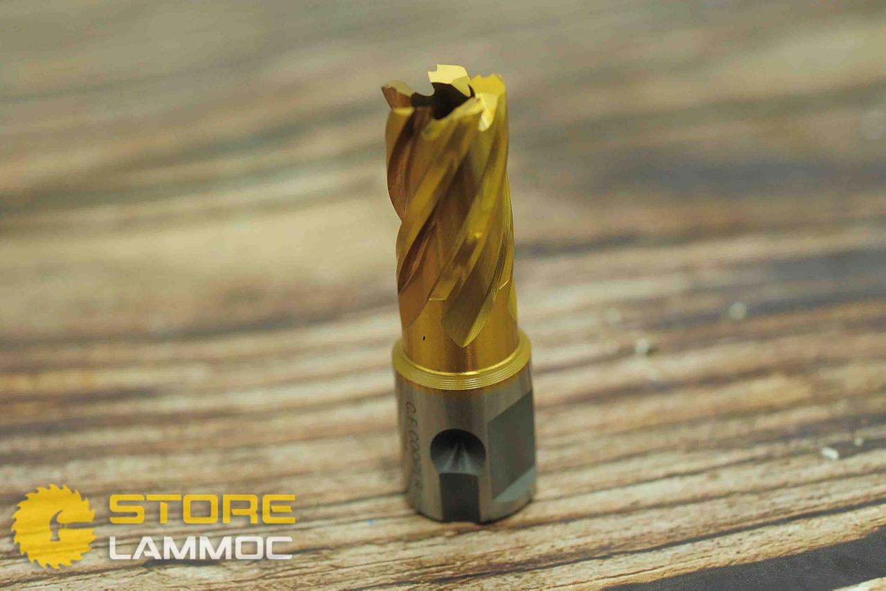 Mũi khoan từ thép gió (HSS) 12x25mm, 14x25mm, 16x25mm phủ Titanium (TIN) CFCOOPER