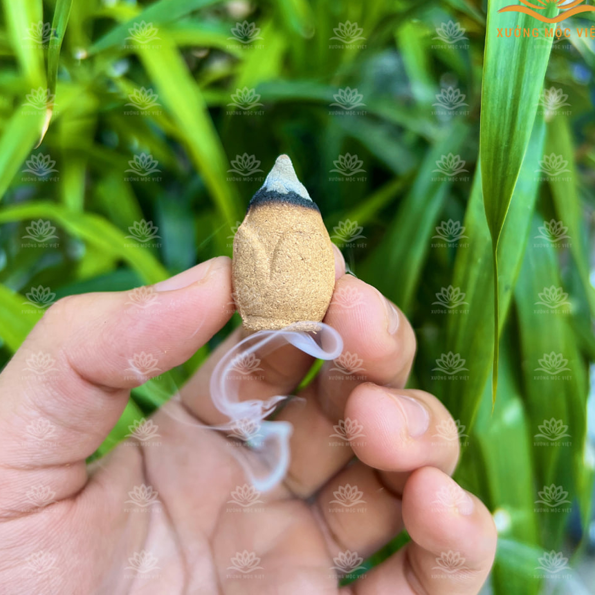 NỤ TRẦM HƯƠNG TỰ NHIÊN - HƯƠNG THƠM THUẦN KHIẾT CỦA THIÊN NHIÊN BAN TẶNG