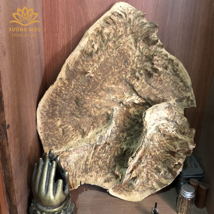 BẬT MÍ KHÁC BIỆT CỦA VÒNG TAY TRẦM HƯƠNG TỰ NHIÊN VÀ VÒNG TAY TRẦM HƯƠNG NẤU DẦU