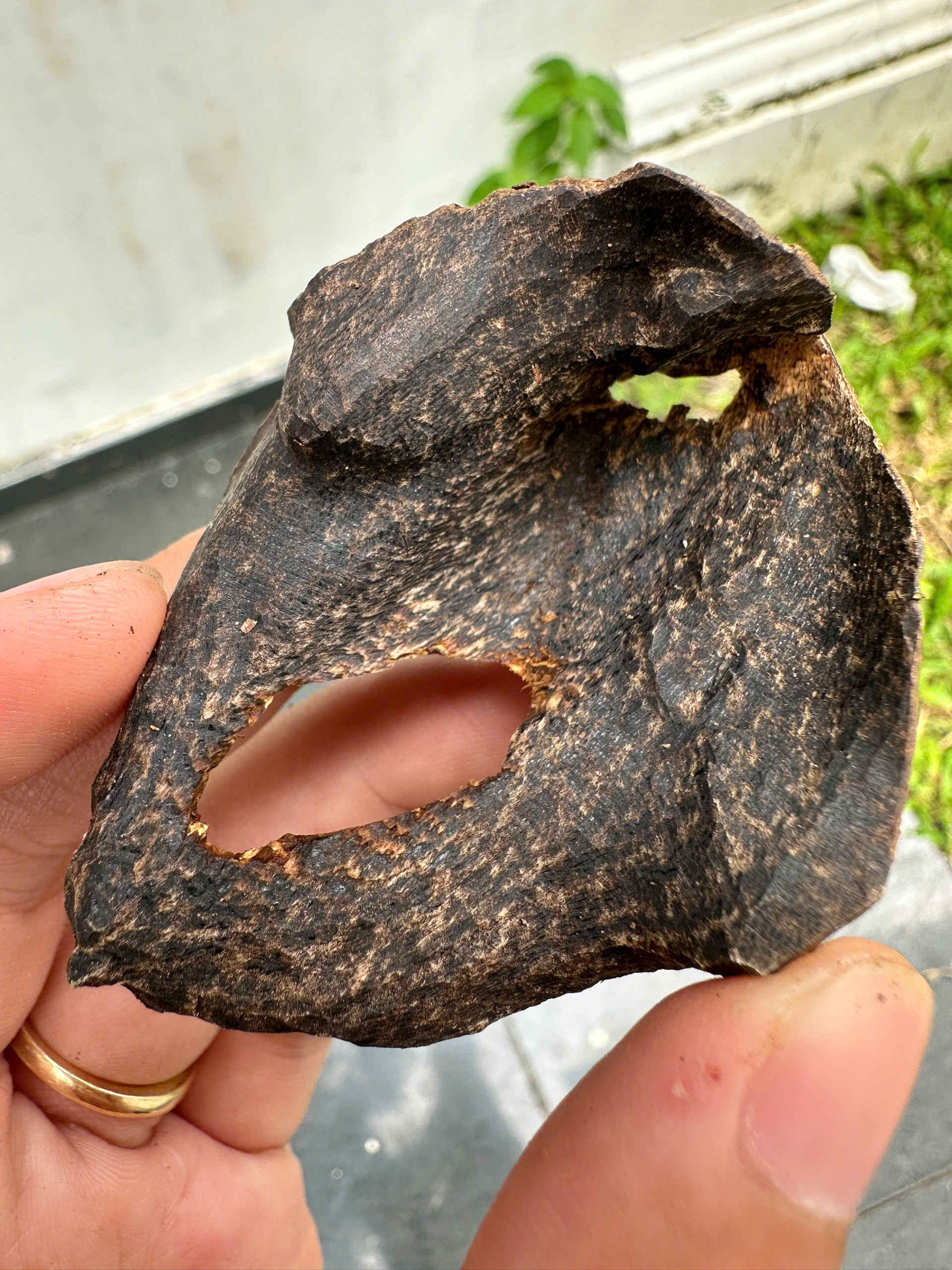 TRẦM CHÌM VIỆT NAM - SIÊU PHẨM TỰ NHIÊN TỪ XƯỞNG MỘC VIỆT