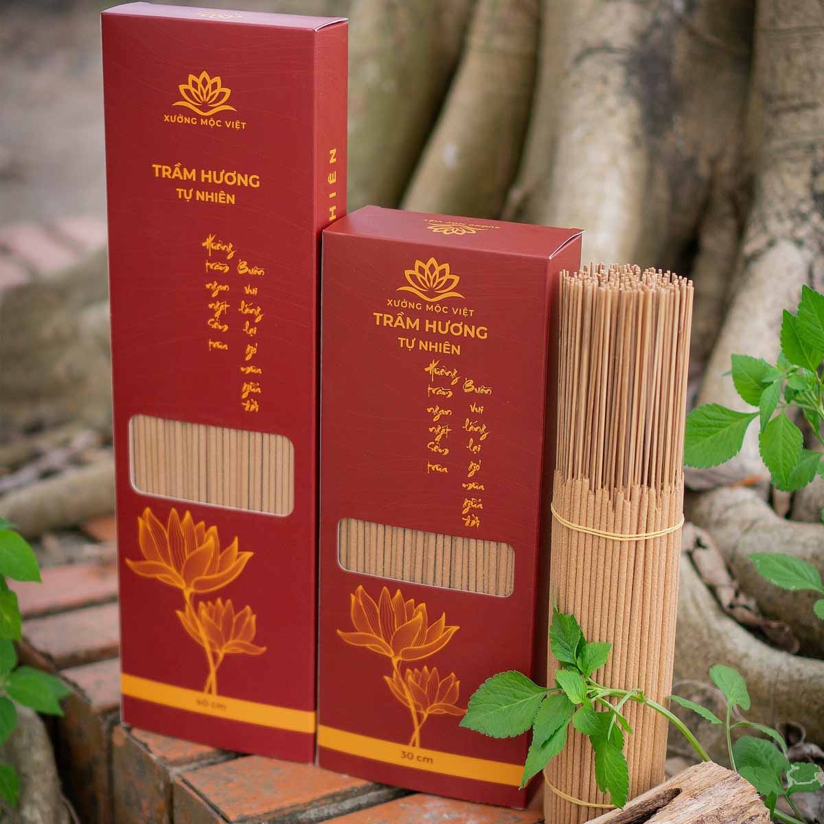 Nhang Cây Trầm Hương Sạch Đặc Biệt - 500G