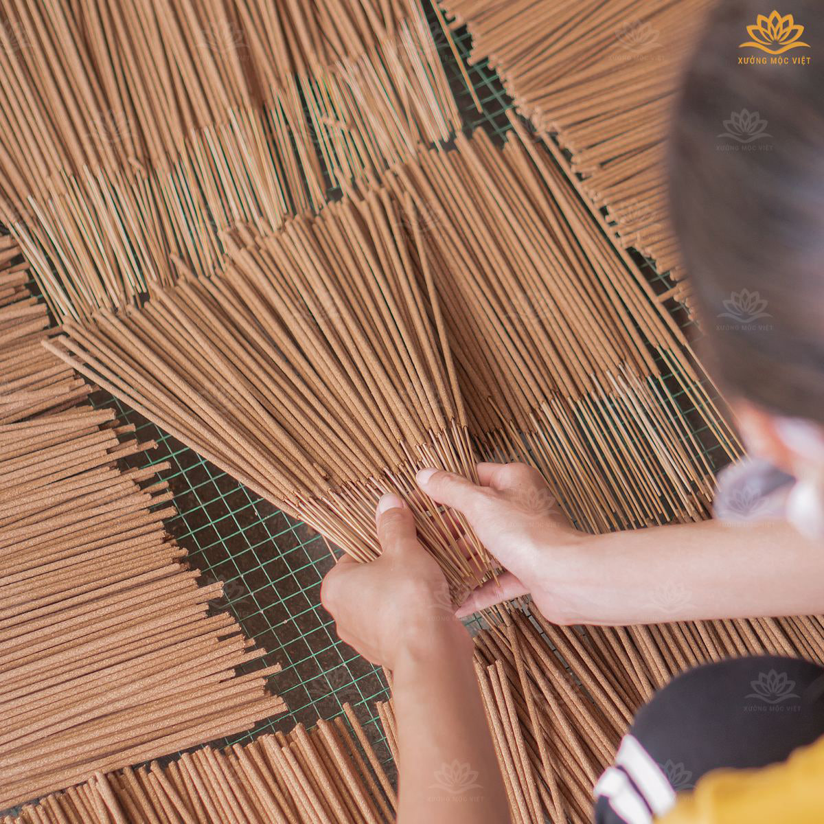 Hộp 1KG Nhang Cây Trầm Hương Sạch Chuẩn OCOP - Loại Phổ Thông