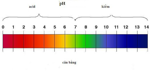 Bảng màu tương ứng với từng giá trị của độ pH