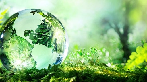 Luật bảo vệ môi trường