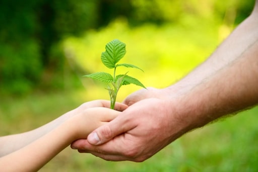 Trách nhiệm trong việc bảo vệ môi trường sống
