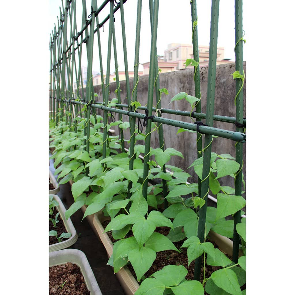 Cọc Lõi Thép Bọc Nhựa Nhật